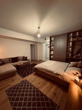 Ideal Apartament